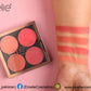 Emelie 4 Colour Blushon Kit