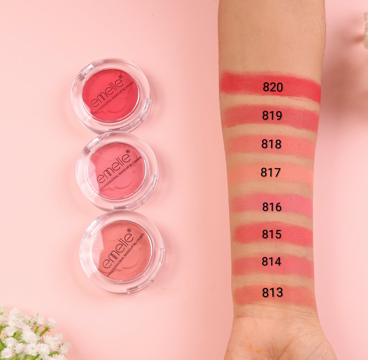 Emelie Professional Makeup Blusher
