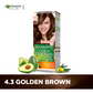 GARNIER Hair Colours