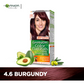 GARNIER Hair Colours