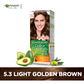GARNIER Hair Colours