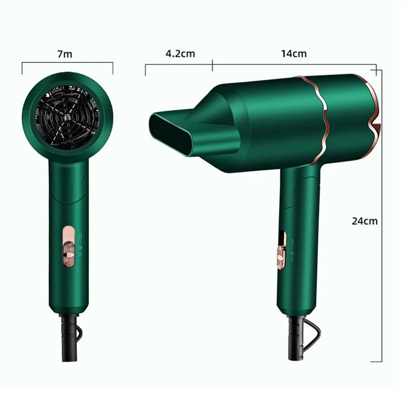 Professional Hair Dryer