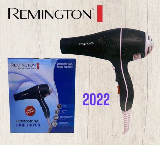 Remington Dryer Model # 2022